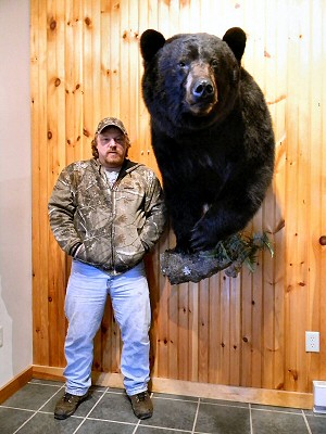 Brown Bear Taxidermy Studio Pennsylvania