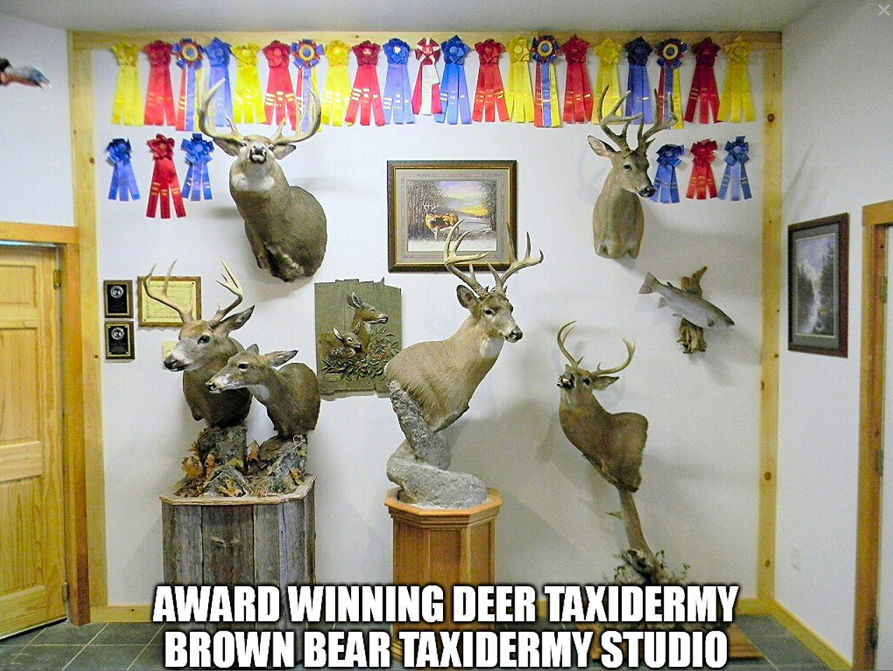 Deer Taxidermists In Pennsylvania