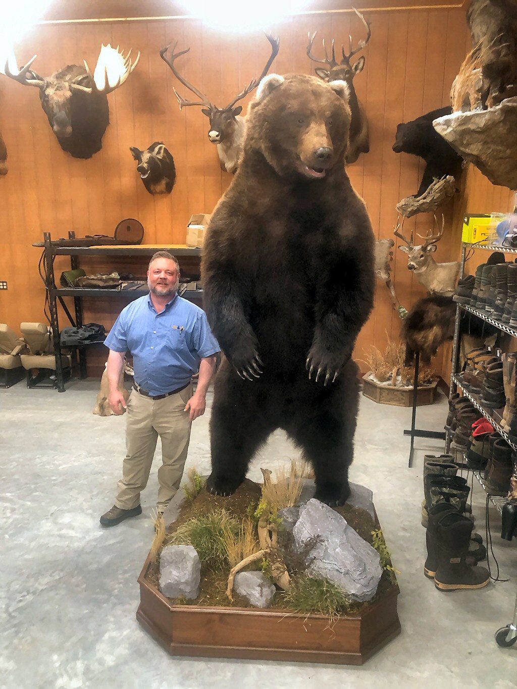 Brown Bear Taxidermy Studio, Pine Grove, PA - Licensed and Insured Pennsylvania Taxidermist